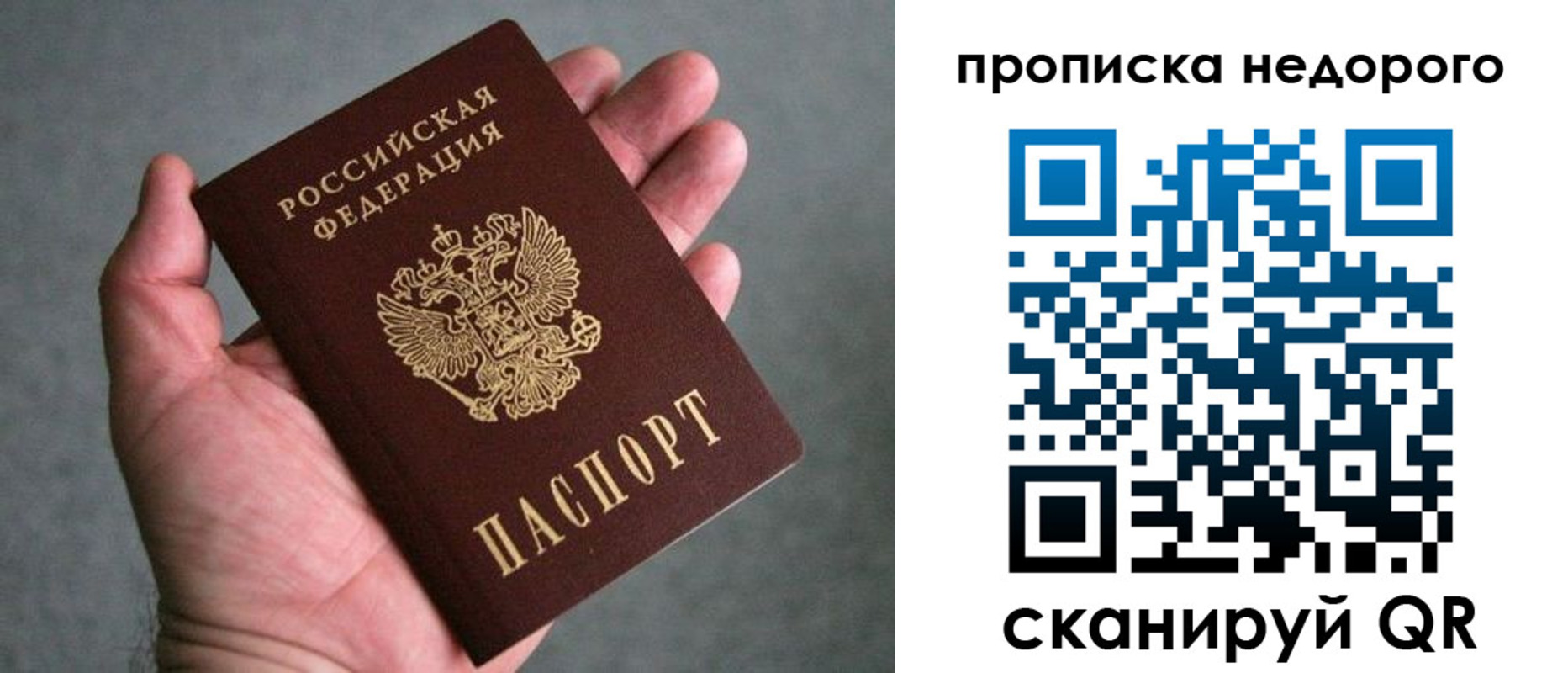прописка поиск в Карелии